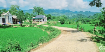 Cần bán 2700m2 (200m2 ONT + CLN) Tại Xóm Đung, xã Phú Vinh, Tân Lạc, Hòa Bình