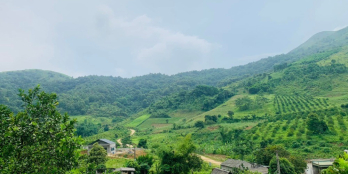 Gấp Gấp Cần Bán Gấp Siêu Phẩm bám hồ 2,2ha thổ cư cực đẹp giá cực rẻ đi