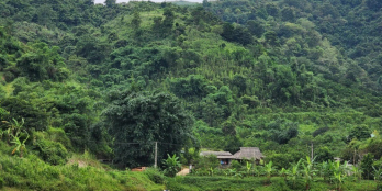 Cần Bán Gấp Siêu Phẩm bám hồ 2,2ha thổ cư cực đẹp giá cực rẻ Hợp phong Cao Phong