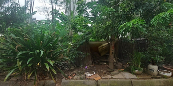 Bán Đất Trong Đê 76m 3 Ôtô tránh, Kinh Doanh 5.8 tỷ TL