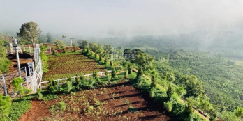 ĐẤT NGHỈ DƯỠNG MỚI RA LÒ CỦA HOÀNG GIA LAND NHANH TAY