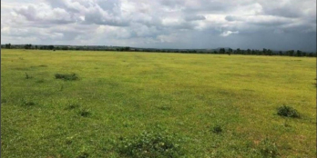 Bán nhanh lô đất ở vị trí đẹp 1271m2/ 230triệu. SHR