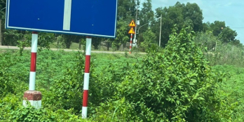 Bán gấp 2 lô đất cách cửa khẩu Phước Tân 500m