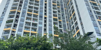 Đất mặt tiền đường Tạ Quang Bửu quận 8 giá cực tốt