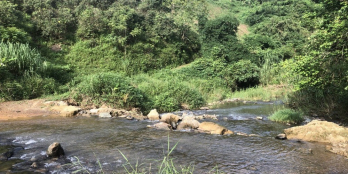 Bán đất ở ngoại ô tại Lương Sơn Hoà Bình 7084m BÁM SUỐI đẹp chỉ nhỉnh 800k/m