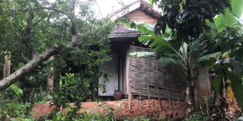 Cần bán Mảnh đất có vườn cây ăn quả,Chiềng Hắc , Mộc Châu .