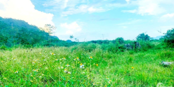 Mảnh đất gần khu công nghiệp trong tương lai tại xã Mỹ Hoà 215k/m2