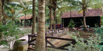 Bán đất tăng nhà gỗ homstay nghĩ dưỡng tại châu thành bến tre