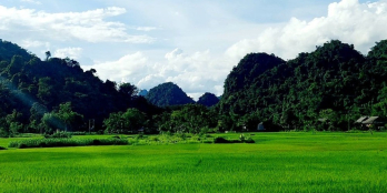 Lô đất cực đẹp chủ nhà cho ra đi do cần tiền tại Xóm Đung, xã Phú Vinh, Tân Lạc