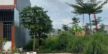 Chủ ngộp bán gấp 100m² thổ cư khu tái định cư Phú Chánh D 1,5 tỷ Lh 0978.813.833