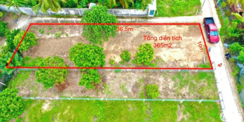 NỀN QUỚI SƠN ĐƯỜNG Ô TÔ 7 CHỖ QUAY ĐẦU GẦN KCN GIAO LONG