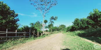 Chính chủ cần bán gấp lô đất 4000m2 Phú Vinh Tân Lạc Chỉ hơn 225k/m đất phú Vinh