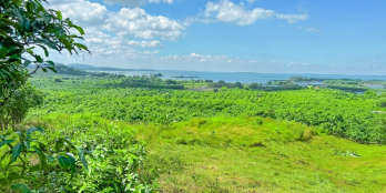 Bán lô đất view biển Hồ Trị An, chiết khấu 122 triệu cho khách đầu tư Camping