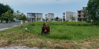 Bung 30 nên f0 giá gốc 700tr Vĩnh Tân , Tân Uyên, Bình Dương