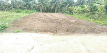 Bán 300m3 đất mặt tiền lộ xe 16 chỗ phương Phú Tân bến thượng