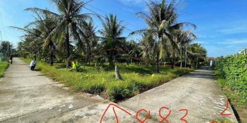 Bán 885m2 đất xã hữu định châu thành bến tre