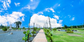 Đất nền nghỉ dưỡng Bảo Lộc chỉ 790tr nền biệt thự view đồi chè Phương Nam