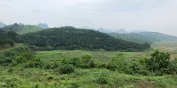 Siêu rẻ! Bán đất nghỉ dưỡng Lương Sơn Hoà Bình 4400m2 view đẹp giá chỉ 2 tỷ