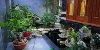 Hạ giá bán rẻ biệt thự đáng sống 12 x 16m 1 trệt 3 lầu KDC Bông Sao Q8 TP.HCM