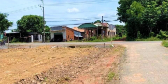 NGỘP BÁN GẤP 5000m2 ĐẤT MẶT TIỀN ĐƯỜNG NHỰA, NGAY CHỢ, TRƯỜNG CẤP 2-3, KDC ĐÔNG