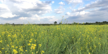 ĐẤT NGHỈ DƯỠNG BẢO LỘC NGAY QL55 300M