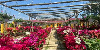 NHÀ MẶT TIỀN – TRUNG TÂM – CÔNG VIÊN – SÂN VƯỜN RIÊNG BIỆT