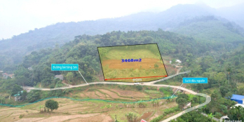 Đất nghỉ dưỡng kim bôi .Ưu đãi vàng từ ngày 21 đến 31 tháng 12 năm 2022