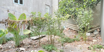 Bán nhà ngang 5m dài 31 sổ hồng thổ cư đường nguyễn văn tiên phường tân phong