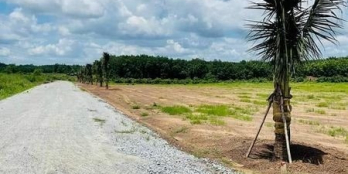 CHÍNH CHỦ BÁN 1000M2 ĐẤT, A/C THIỆN CHÍ ĐI XEM K LÀM MẤT THỜI GIAN. GIÁ 560TR