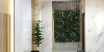 HXH Trịnh Đình Trọng, Phương Phú Trung, Quận Tân Phú