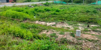 Bán đất MT đường Liên tỉnh Châu Thành Tây Ninh. 100m2 full thổ cư xây tự do