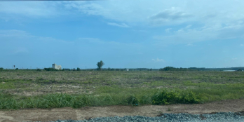 VỠ NỢ,BÁN 7.000M2 ĐẤT-SÁT Q.LỘ, GẦN KCN VIỆT-HÀN ĐANG HOẠT ĐỘNG.GIÁ 420TR/SÀO