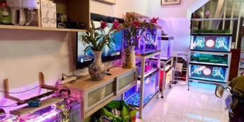 CHỈ 1 CĂN DUY NHẤT, NHÀ ĐẸP LUNG LINH, DTSD 170M2, PHÚ THUẬN- Q7.