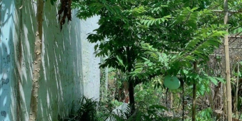 Nền 40m2 giá 930, bank 640tr cần bán gấp trả nợ, cách nguyễn văn linh 150m