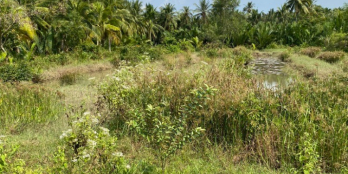 CHO THUÊ MẶT BẰNG ĐẤT 2 MẶT TIỀN QL60 TẠ XÃ HÒA LỘC , MỎ CÀY BẮC