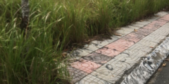 Ngộp lô đất cách chợ Gò Đen 100m