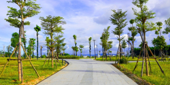 Mở cơ hội đầu tư tại dự án Phú Mỹ - Bán đất nền đẹp, giá rẻ