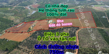 8ha đất trồng rau,bằng phẳng, có sẵn nhà lớn, hệ thống béc tưới full, oto vào tậ