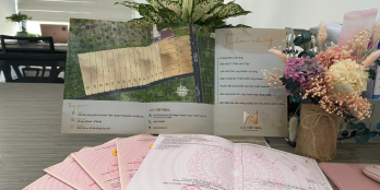 Đất nền Thống Nhât-Dầu Giây thổ cư SHR 180m2 giá từ 6,1tr/m2.