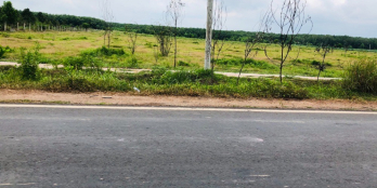 NỢ NGÂN HÀNG NÊN BÁN GẤP 1010M2 NGAY CHỢ, GẦN KCN BECAMEX DÂN ĐÔNG. GIÁ 420TR