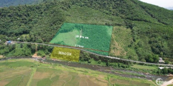 Bất động sản nghỉ dưỡng đất rừng và đất cây lâu năm giá hợp lý.