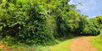 NHẬN NGAY BĐS NGHỈ DƯỠNG VÀ NẰM GIỮA CÁC KHU NGHỈ DƯỠNG TẠI XÃ HỢP T