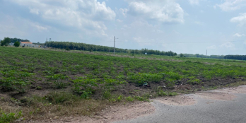 ĐẤT MẶT TIỀN BÁN GẤP 2.100M2-GIÁ 560TR/SHR SÁT UBND CHỢ TRƯỜNG, DÂN Ở SAN SÁT