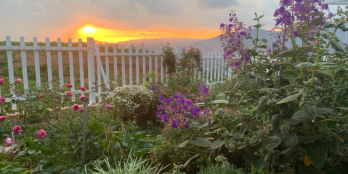 Chính chủ cần bán 1 héc đất đồi Ủi, thôn Tầm Xá,  Đông Thanh. Giá 4,2 tỷ