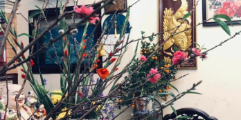 Mặt tiền Quận 8 giá không tới 7T