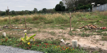 Cần bán lô đất thổ cư giá rẻ nằm tại cổng 3 khu công nghiệp Phước Đông.