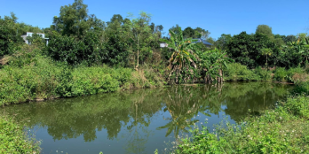 Đất ở KDC sân bay Long Thành 1065m2 - Chỉ 2.35 tỷ