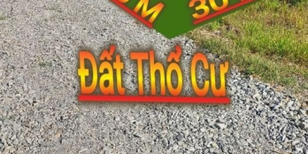 CHỈ CẦN THANH TOÁN 250 TRIỆU LÀ SỞ HỮU LÔ ĐẤT THỔ 5X30 SỔ RIÊNG