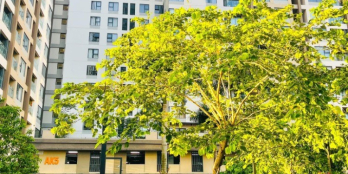 Cần bán hoặc cho thuê căn hộ Akari city, dt 75m2, 2pn, lầu cao thoáng, giá tốt.