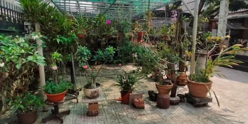 BIỆT THỰ SÂN VƯỜN ĐẲNG CẤP 521M2, SÁT KCN TÂN BÌNH